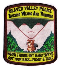 BEAVER VALLEY POLICE SWAT PA PENNSYLVANIA SERT ERT picture